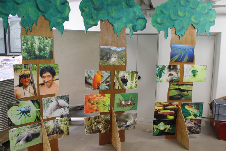 Bilder zeigen verschiedene Impressionen aus dem Amazonaswald: Tiere, Menschen, Pflanzen