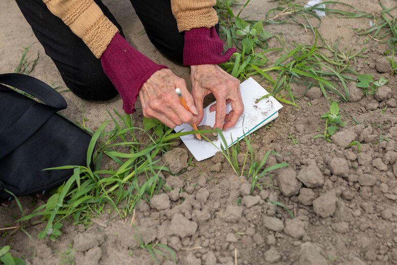 Auf dem Bild sieht man zwei Hände einer Person, während sie die Umrisse eines Klumpens abmalt.