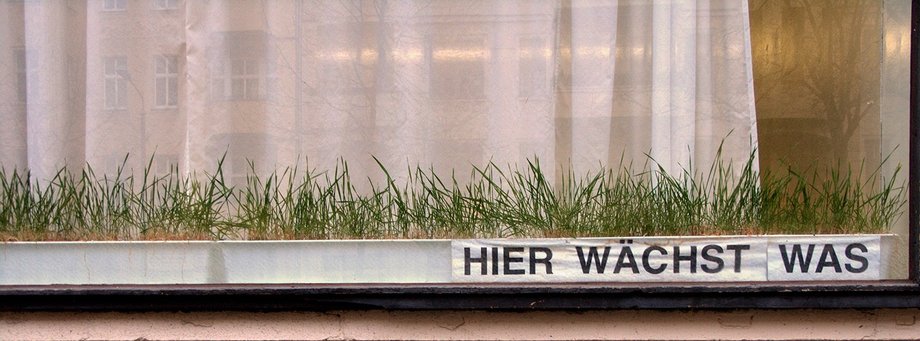 Gras wächst auf Fensterbank. Aufschrift an der Fensterbank "Hier wächst was"